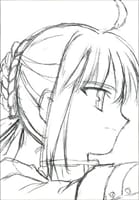 fsm_saber.png